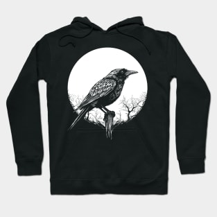 Raven Hoodie